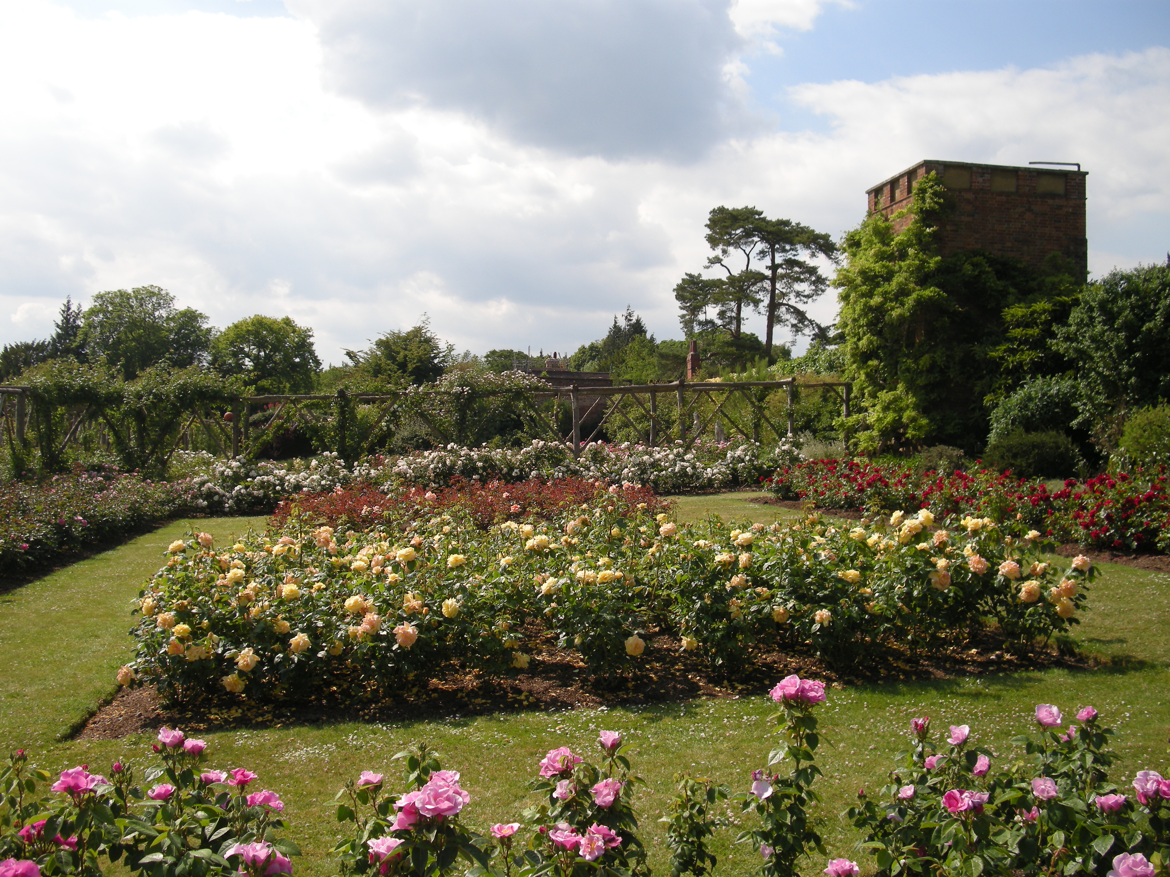 Polesden Lacey Roses - The Surrey Edit