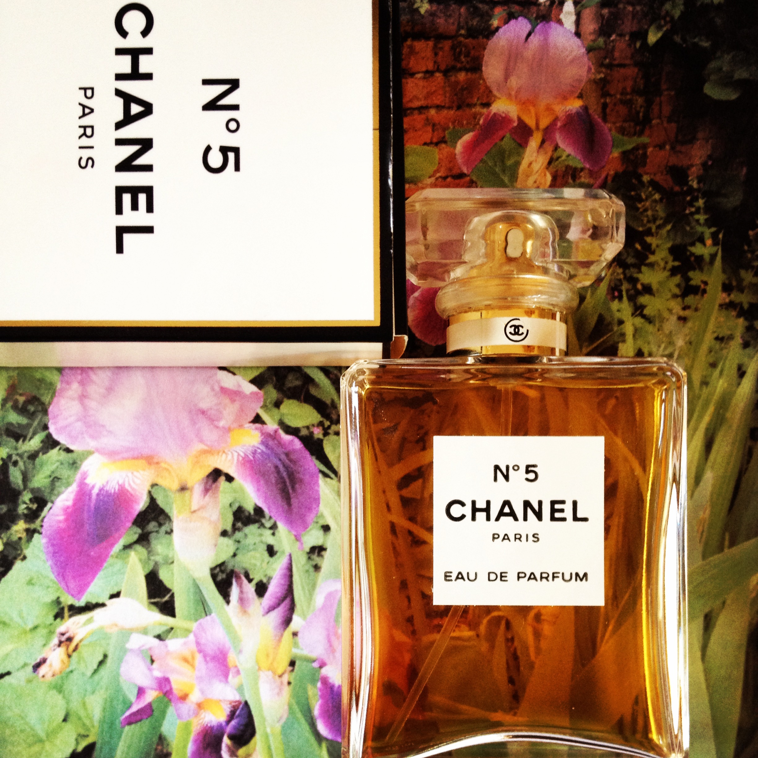 Chanel No5 Notes Online, 53% OFF 
