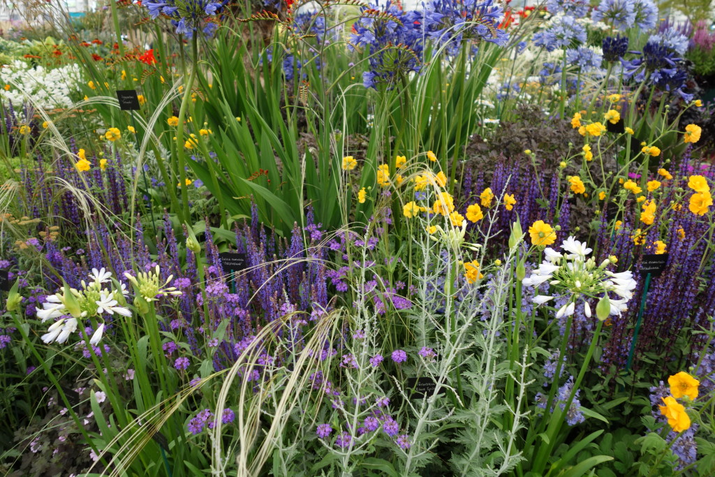 RHS Hampton Court Flower Show 2015 | The Surrey Edit