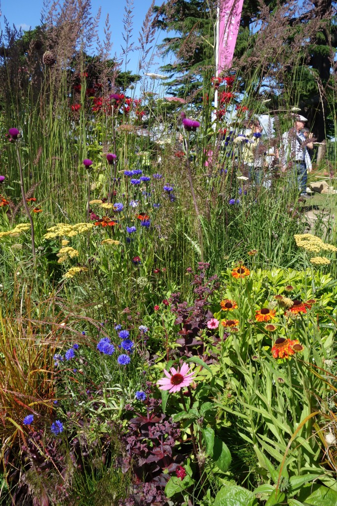 RHS Hampton Court Flower Show 2016 | The Surrey Edit